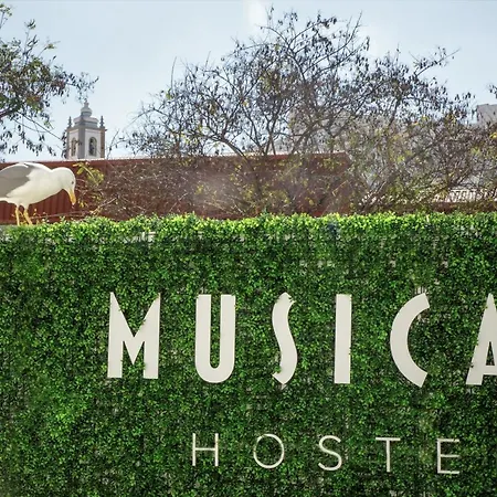 Musical Hostel-2